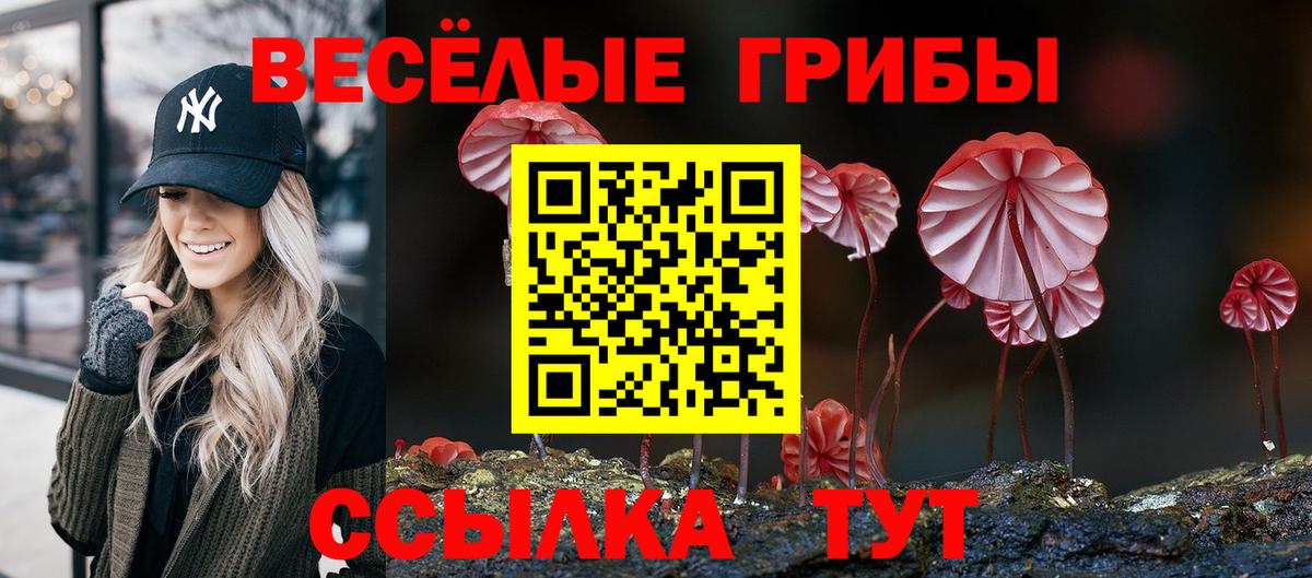 Галлюциногенные грибы Magic Shrooms  Вход с VPN  Воркута  Галлюциногенные грибы Psilocybine cubensis 